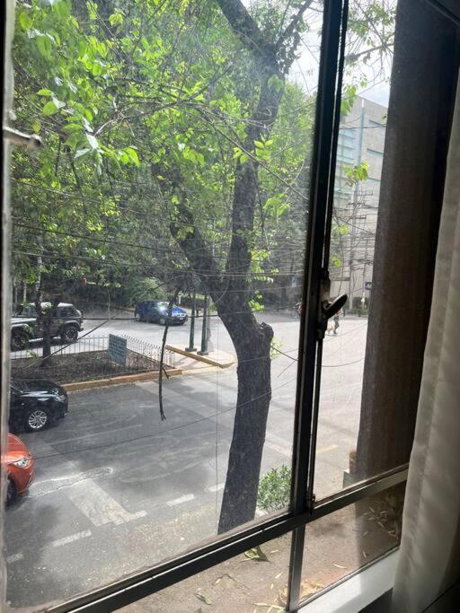 Amazing In Amsterdam St Heart Of Condesa * Mexico City