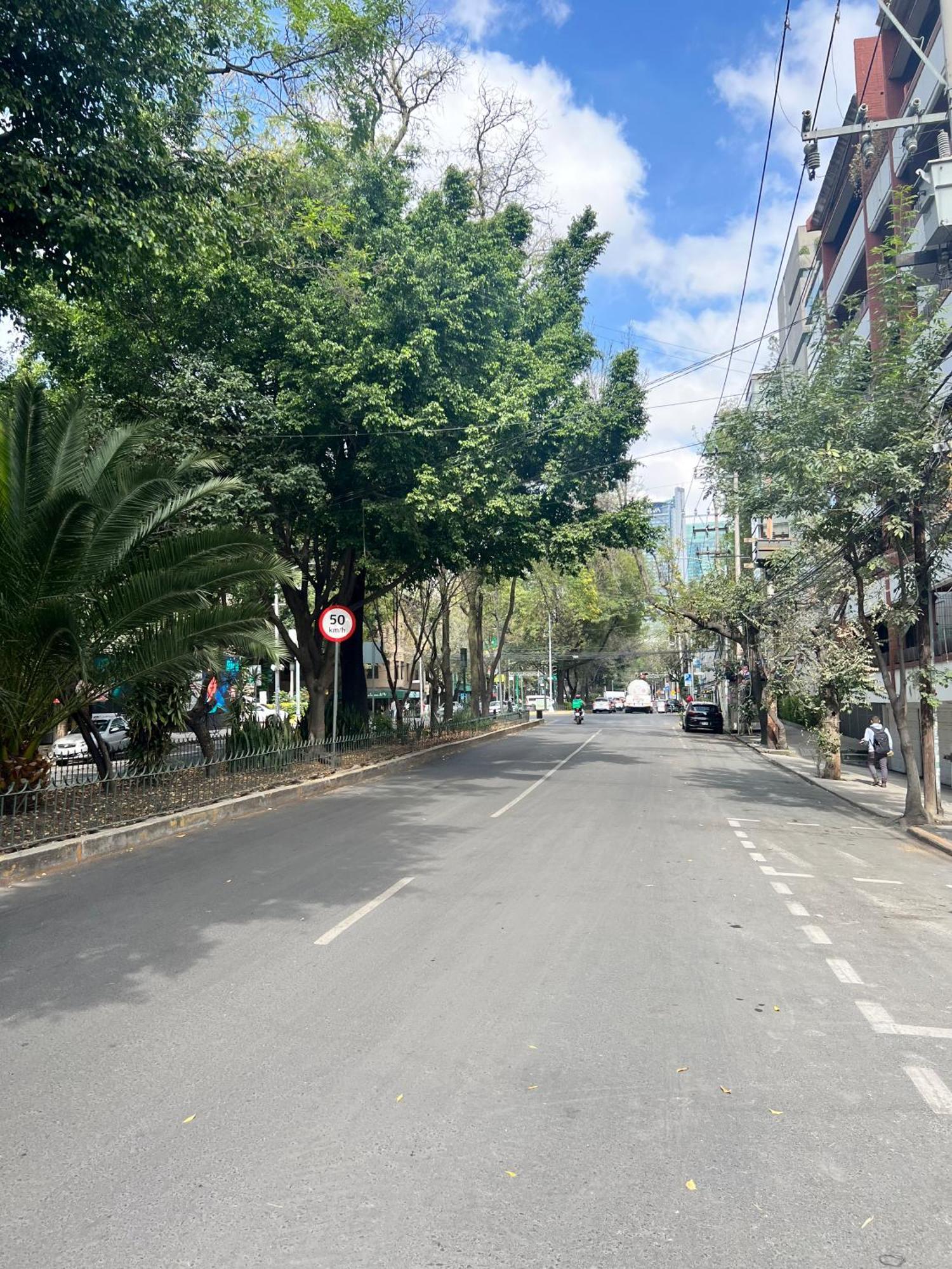 Amazing In Amsterdam St Heart Of Condesa Mexico City