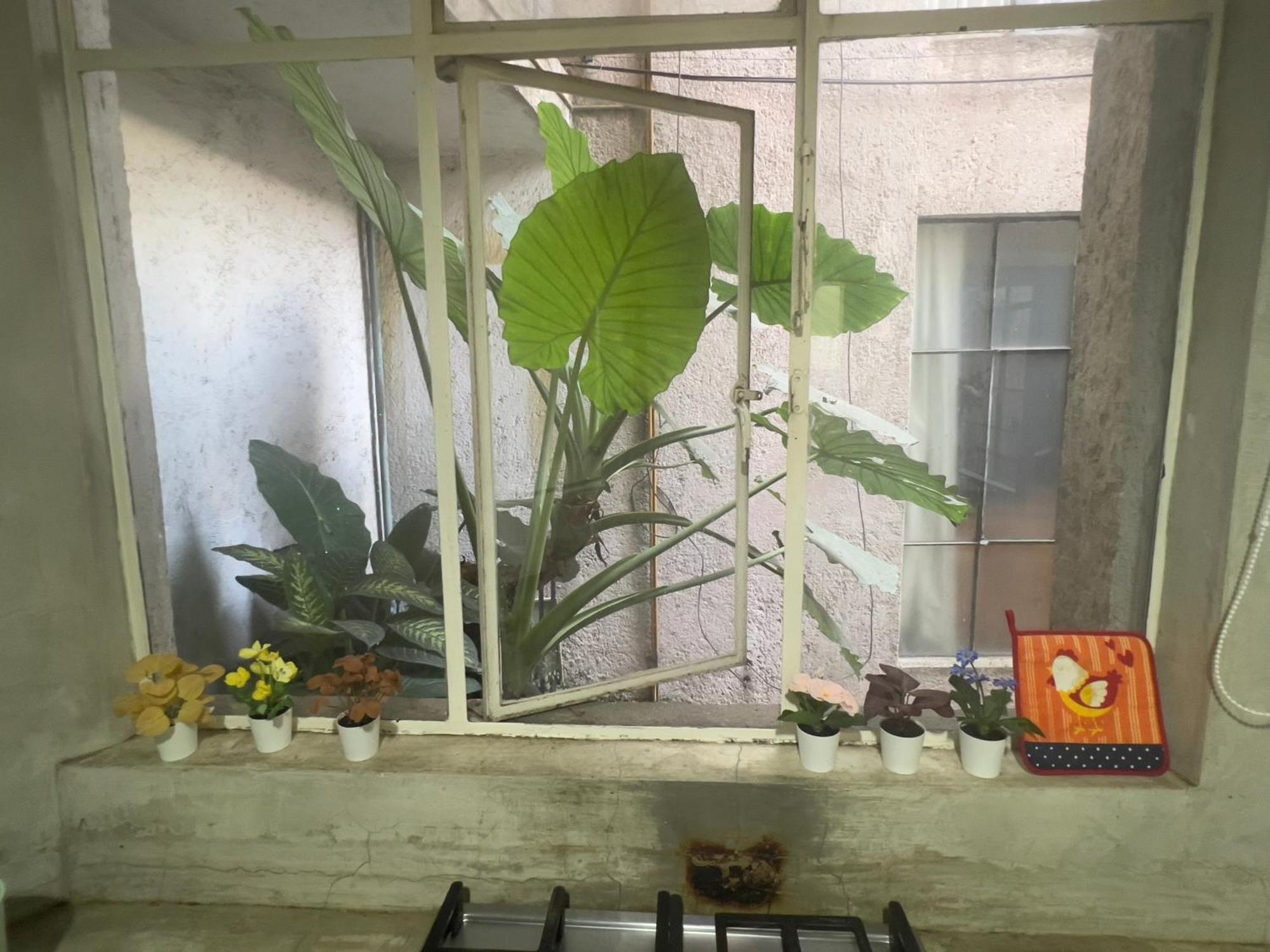 Apartment Amazing In Amsterdam St Heart Of Condesa *