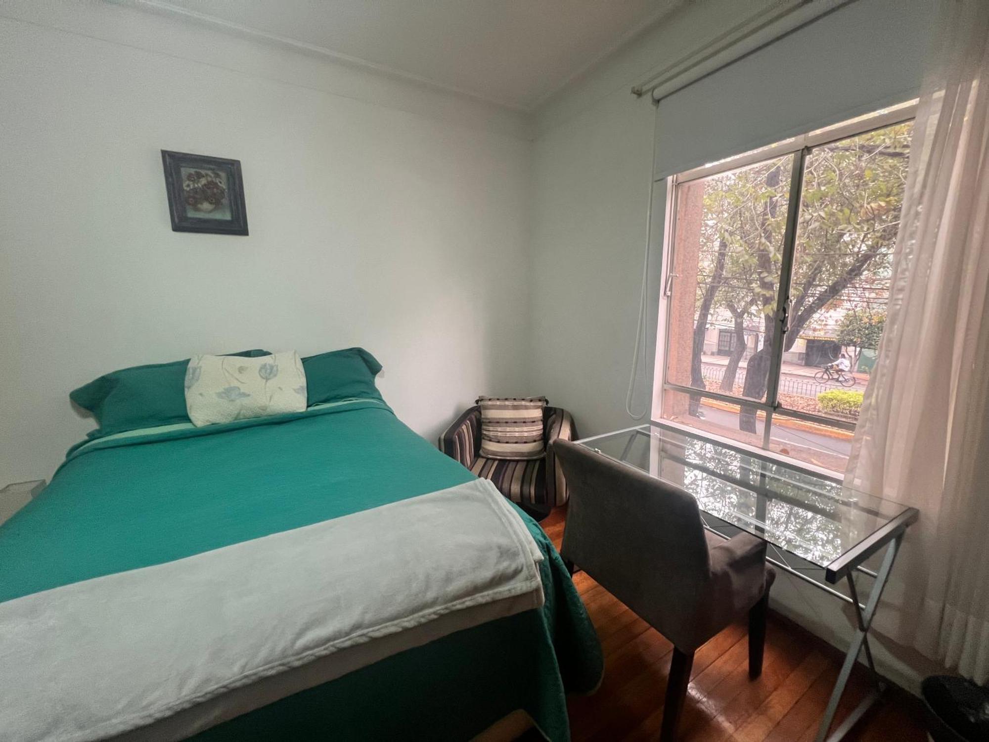 Amazing In Amsterdam St Heart Of Condesa