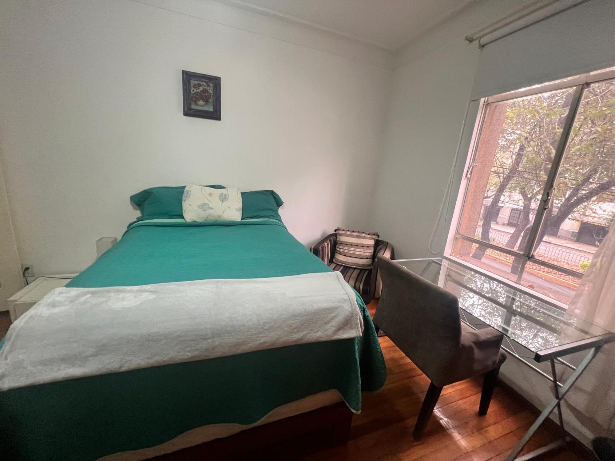 Amazing In Amsterdam St Heart Of Condesa Mexico City