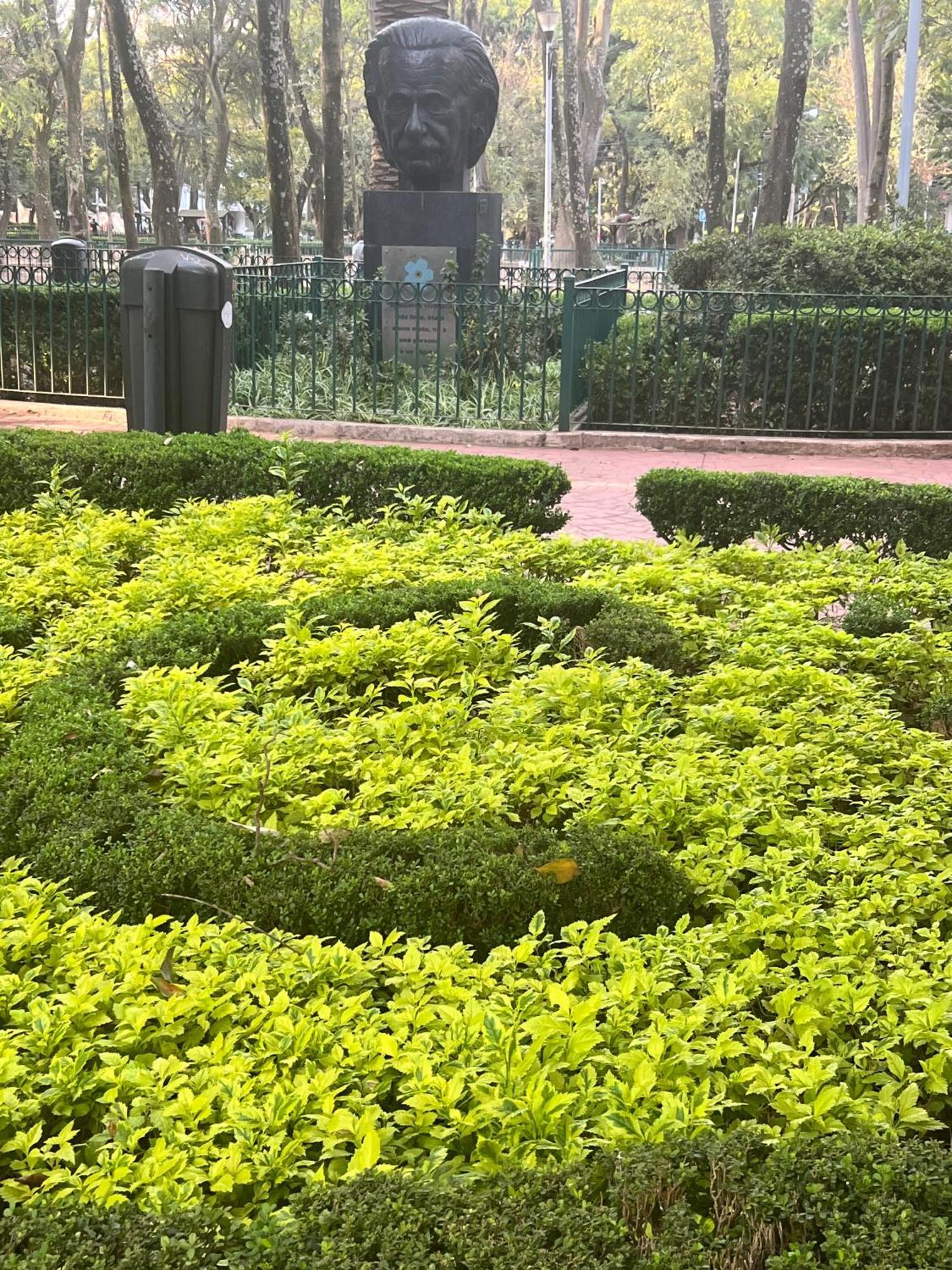 Apartment Amazing In Amsterdam St Heart Of Condesa Mexico City